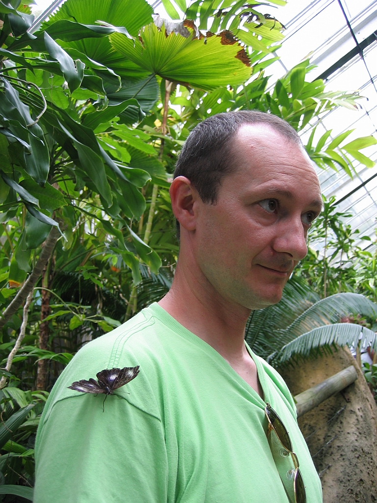 105 Kuranda Butterfly Sanctuary.jpg